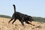 BEAUCERON 090